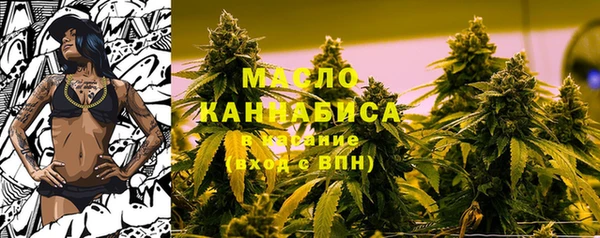 mdpv Краснослободск