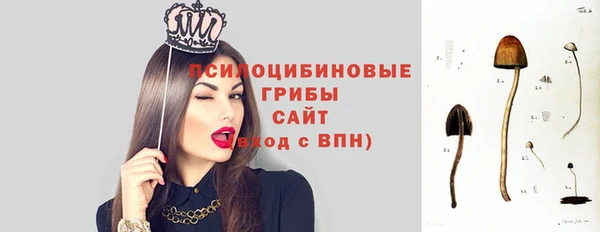 spice Краснотурьинск