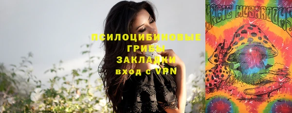 spice Краснотурьинск