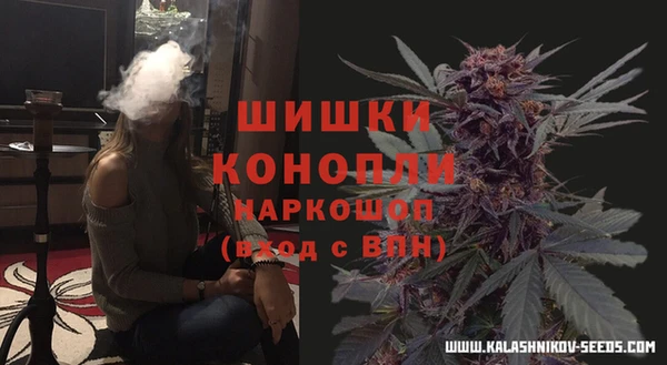 mdpv Краснослободск