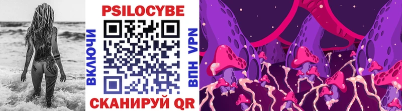 Купить где  Старица  Галлюциногенные грибы Psilocybine cubensis 